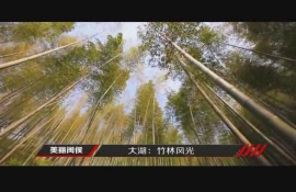 美麗閩侯—大湖竹林風(fēng)光