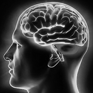 科學家解密“最強大腦”：瞬間記憶與智商有關(guān)系