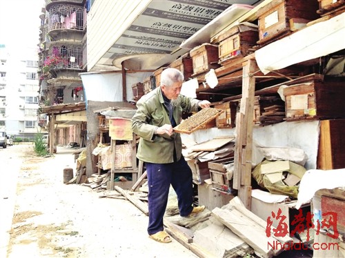 獨(dú)身依伯養(yǎng)蜜蜂20年為生　成鄰居“甜蜜的煩惱”