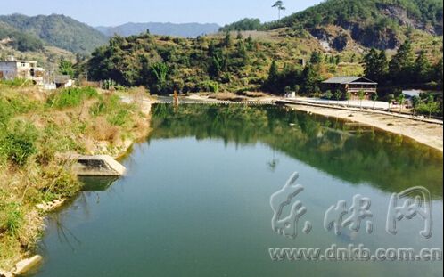 白鷺飛進龍巖汀江國家濕地公園　解密背后的故事