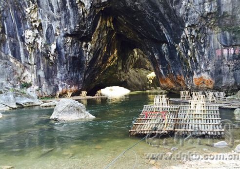 白鷺飛進龍巖汀江國家濕地公園　解密背后的故事