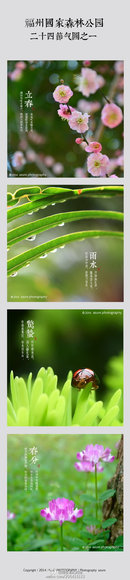 網(wǎng)友歷時(shí)一年拍森林公園24節(jié)氣圖　引一片點(diǎn)贊聲