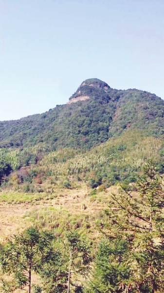 網(wǎng)友作詩歌詠家鄉(xiāng)景觀　山峰神似一尊彌勒佛(圖)