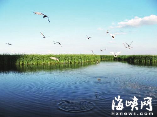 福州將新增多個(gè)濕地公園　閩江河口濕地升國(guó)家級(jí)