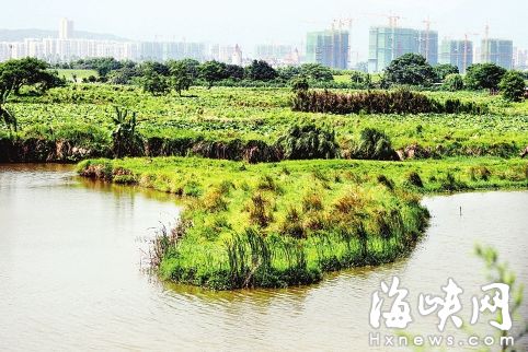 福州將新增多個(gè)濕地公園　閩江河口濕地升國(guó)家級(jí)