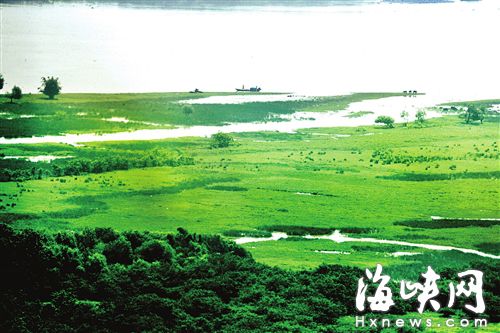 福州將新增多個(gè)濕地公園　閩江河口濕地升國(guó)家級(jí)