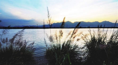 福州將新增多個(gè)濕地公園　閩江河口濕地升國(guó)家級(jí)