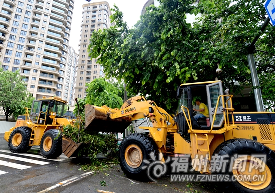 福州57.8萬(wàn)戶恢復(fù)供電 7萬(wàn)多株樹木10內(nèi)基本處置