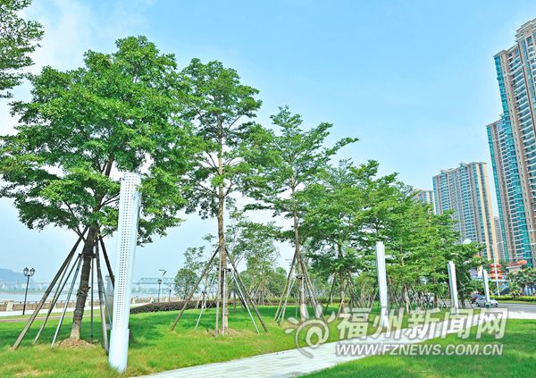 福州近兩年新增森林面積2775畝　向省級森林城市沖刺