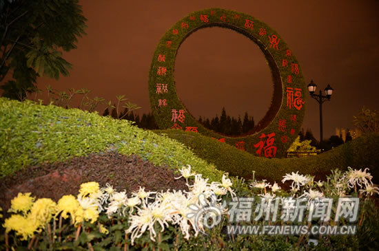 西湖菊展百種精品爭(zhēng)奇斗艷　首次展出“盤龍”列