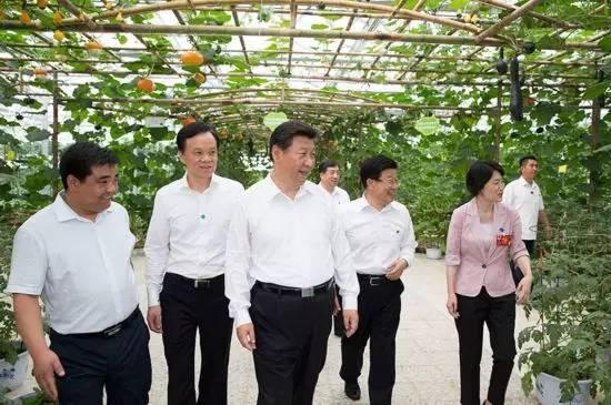 習(xí)近平與“十三五”十四大戰(zhàn)略：藏糧于地 藏糧于技