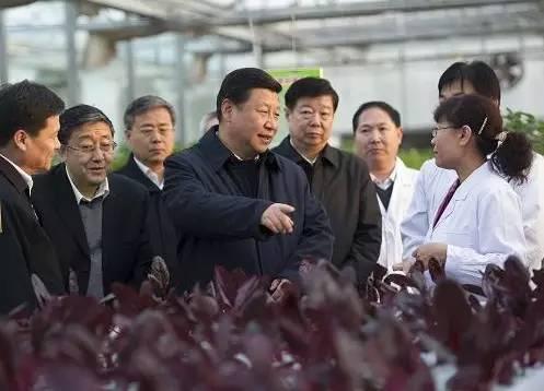 習(xí)近平與“十三五”十四大戰(zhàn)略：藏糧于地 藏糧于技