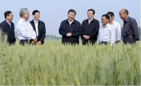 習(xí)近平與“十三五”十四大戰(zhàn)略：藏糧于地 藏糧于技