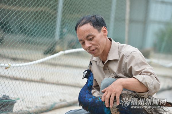“美麗鄉(xiāng)村”+京臺(tái)高速,，成就閩侯孔雀園金字招牌