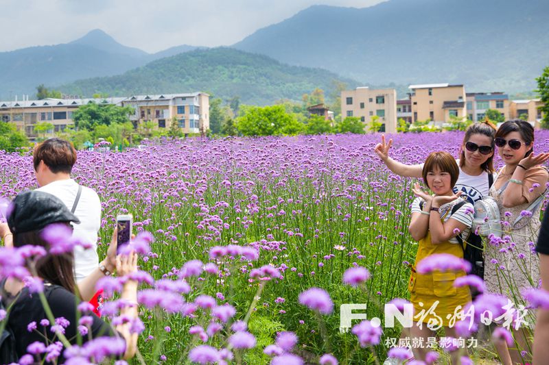 福州大力推進農(nóng)村環(huán)境綜合整治　407個村莊舊貌換新顏