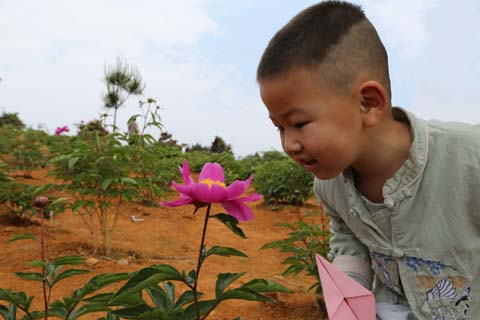 大湖馬墘：省攝影家協(xié)會采風(fēng)團走進航天牡丹園
