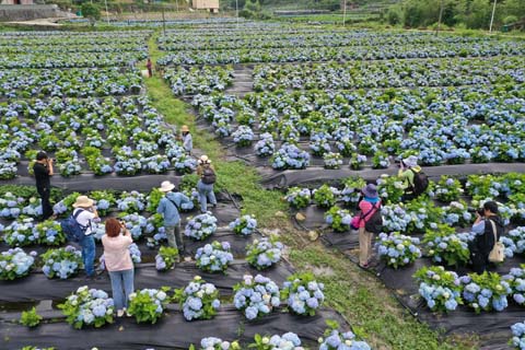 省攝影家協(xié)會(huì)采風(fēng)團(tuán)走進(jìn)“繡山花谷”