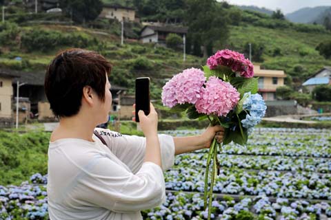 省攝影家協(xié)會(huì)采風(fēng)團(tuán)走進(jìn)“繡山花谷”