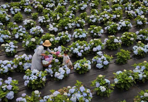 省攝影家協(xié)會(huì)采風(fēng)團(tuán)走進(jìn)“繡山花谷”