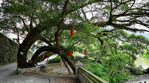 大目溪村：一個金盆藏玉帶的美麗鄉(xiāng)村,！