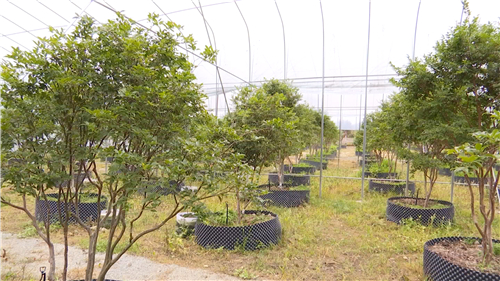 主播帶你紅色游｜荊溪仁洲村的紅色故事，請你來聽聽……