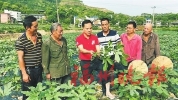 致敬,！“福州最美奮斗者”揭曉