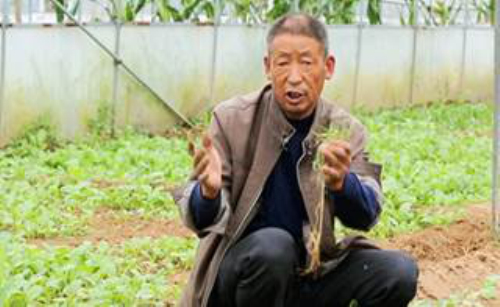 【聚焦】遠(yuǎn)離邪教 要幸福就要奮斗