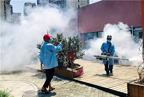 直擊:我縣中小學開學第一天