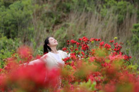 映山杜鵑春來(lái)早 鄉(xiāng)村振興畫(huà)卷新