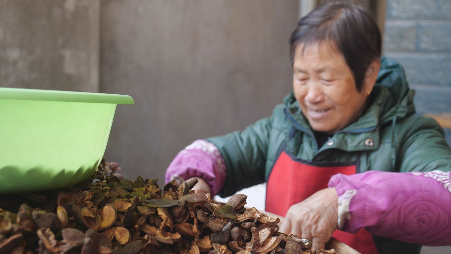 看閩侯丨色澤金黃、香飄四溢的茶油是如何“煉”成的? 看閩侯丨色澤金黃,、香飄四溢的茶油是如何“煉”成的,?