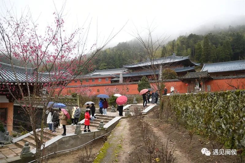 “梅”不勝收！大湖雪峰寺成片“梅”景,，等你來(lái)賞
