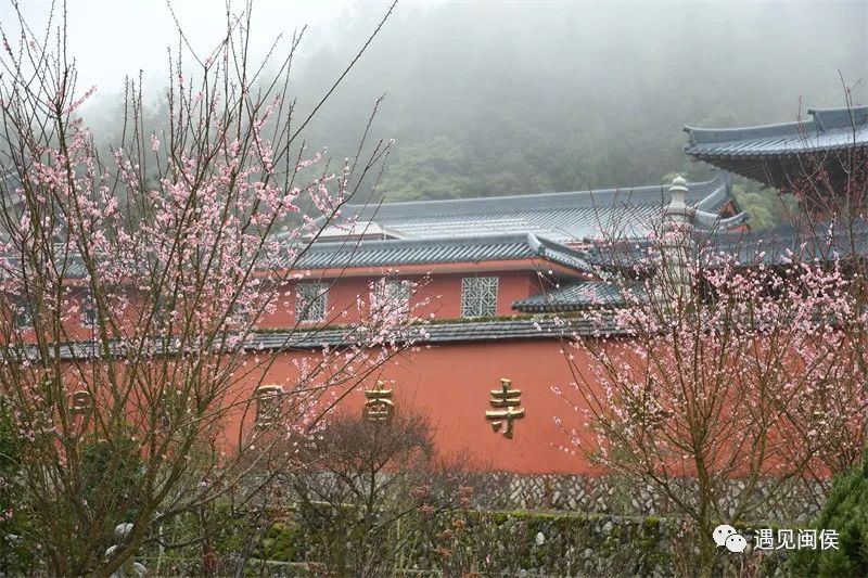 “梅”不勝收!大湖雪峰寺成片“梅”景,,等你來(lái)賞 “梅”不勝收,!大湖雪峰寺成片“梅”景,,等你來(lái)賞