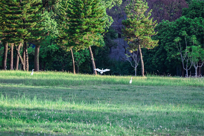 生態(tài)美丨占地1800畝的公園式酒店,愛了,!在福州閩侯這里…… 生態(tài)美丨占地1800畝的公園式酒店,愛了,!在福州閩侯這里……