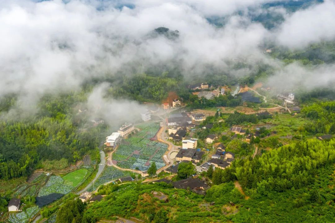 閩侯縣廷坪鄉(xiāng):同心筑夢二十大,,山鄉(xiāng)蛻變譜新篇 閩侯縣廷坪鄉(xiāng):同心筑夢二十大,山鄉(xiāng)蛻變譜新篇