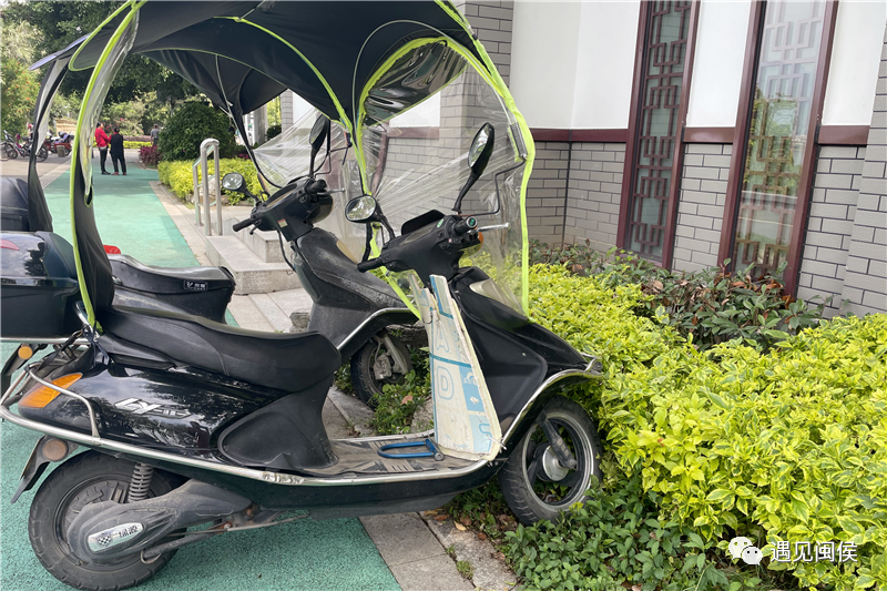 江濱生態(tài)公園很美,，但是這些不文明現(xiàn)象真的“煞風(fēng)景”！