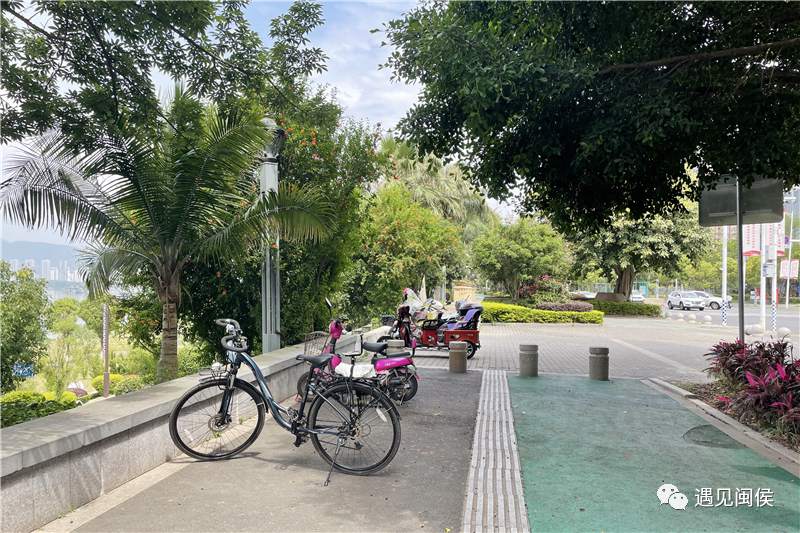 江濱生態(tài)公園很美，但是這些不文明現(xiàn)象真的“煞風(fēng)景”,！