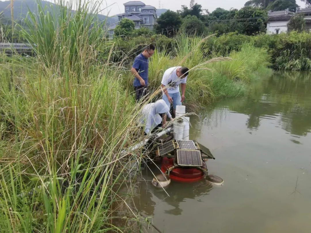 一條游向世界的“中國(guó)魚(yú)”背后 ——以精細(xì)化氣象服務(wù)呵護(hù)金魚(yú)養(yǎng)殖 一條游向世界的“中國(guó)魚(yú)”背后 ——以精細(xì)化氣象服務(wù)呵護(hù)金魚(yú)養(yǎng)殖