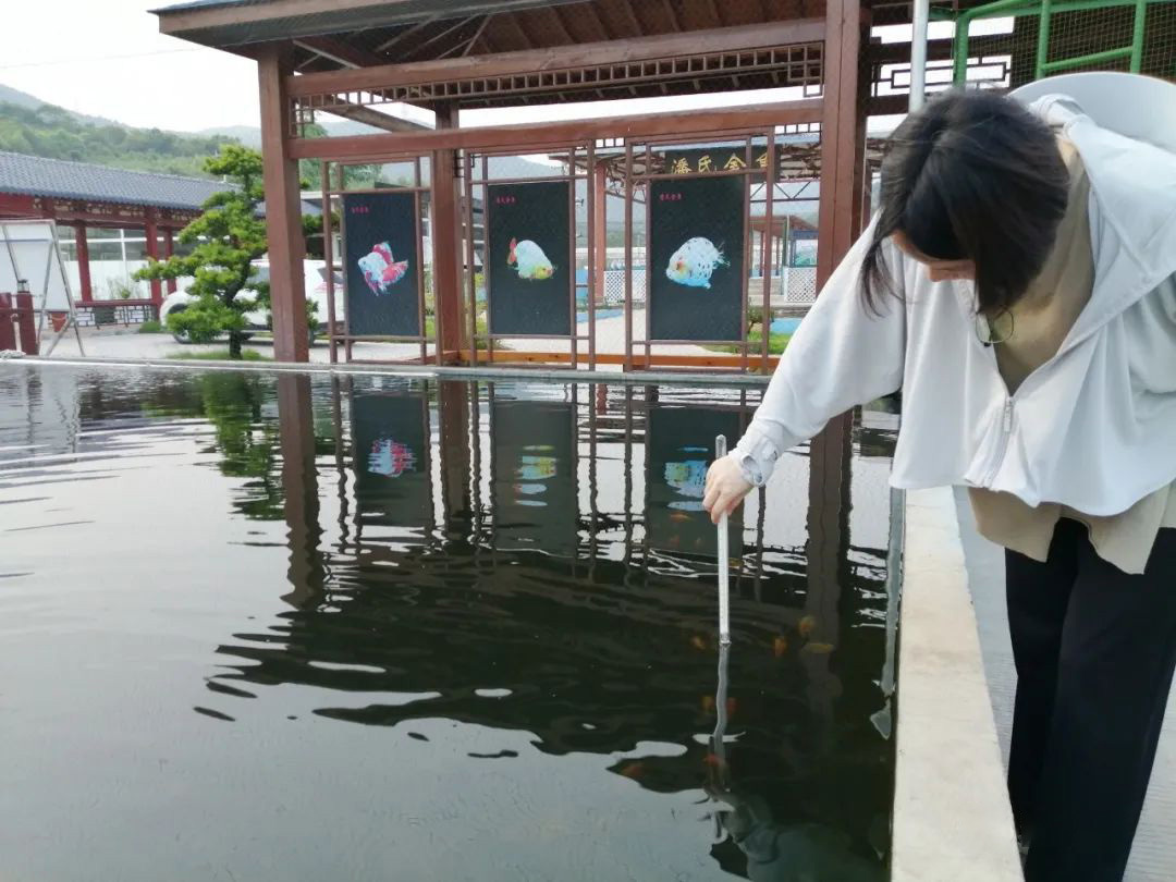 一條游向世界的“中國(guó)魚(yú)”背后 ——以精細(xì)化氣象服務(wù)呵護(hù)金魚(yú)養(yǎng)殖 一條游向世界的“中國(guó)魚(yú)”背后 ——以精細(xì)化氣象服務(wù)呵護(hù)金魚(yú)養(yǎng)殖