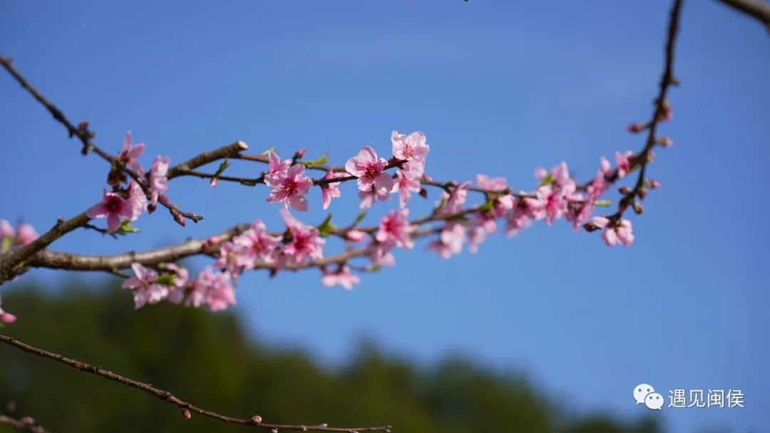 看閩侯丨想看“花花世界”？安排,！