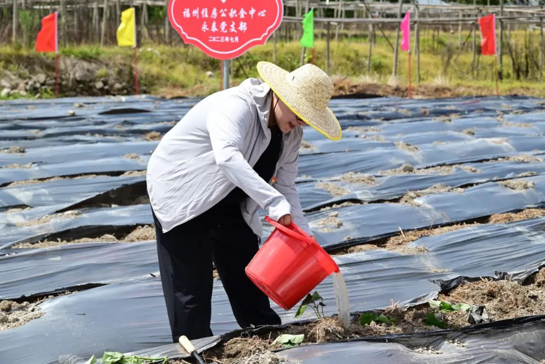 福州住房公積金中心在閩侯縣開展“我在鴻尾有畝田”認領活動 福州住房公積金中心在閩侯縣開展“我在鴻尾有畝田”認領活動