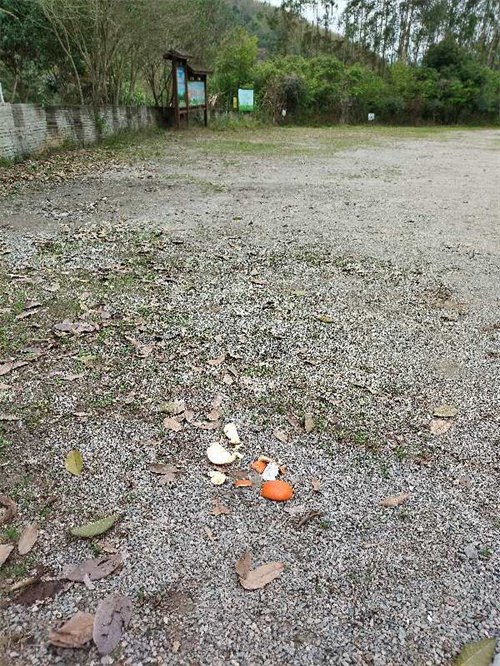 春節(jié)假期,，別讓這些不文明行為“煞風(fēng)景”