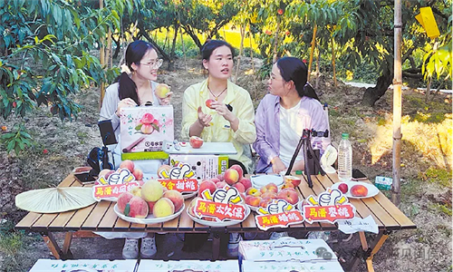 就在廷坪這片稻田！開SHOW,！