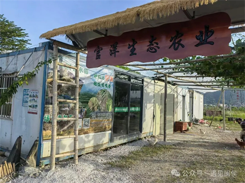 就在廷坪這片稻田！開SHOW,！
