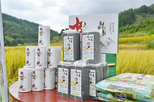 就在廷坪這片稻田！開SHOW,！