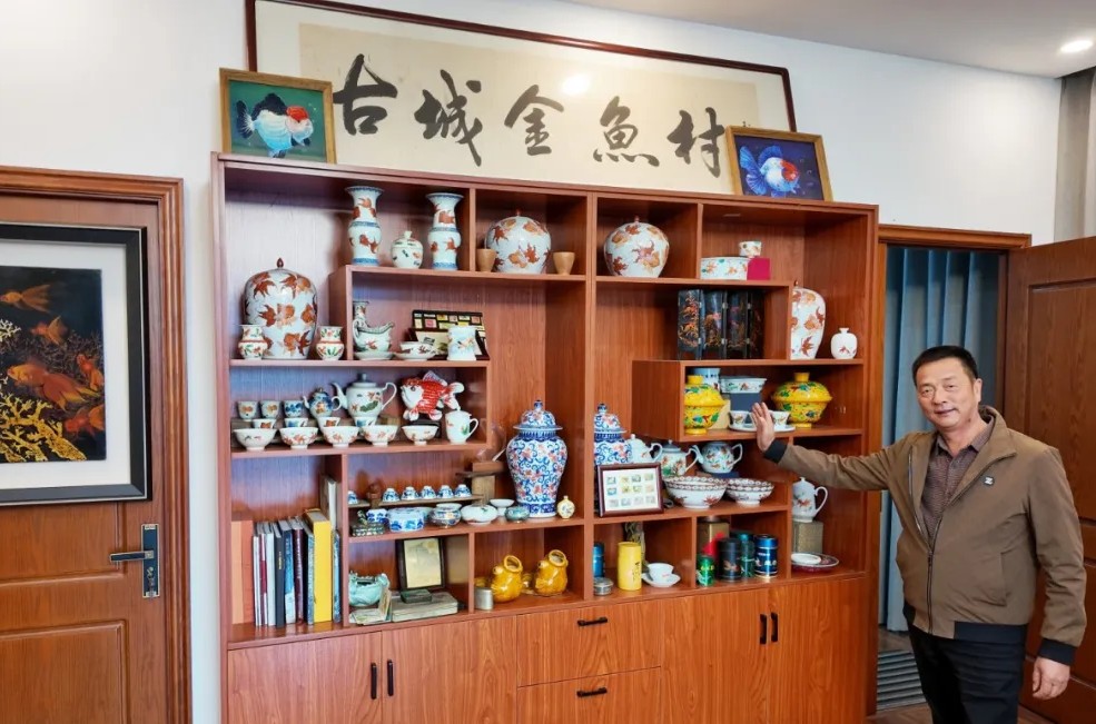 暢游“海絲”,，閩侯金魚花式“變身”