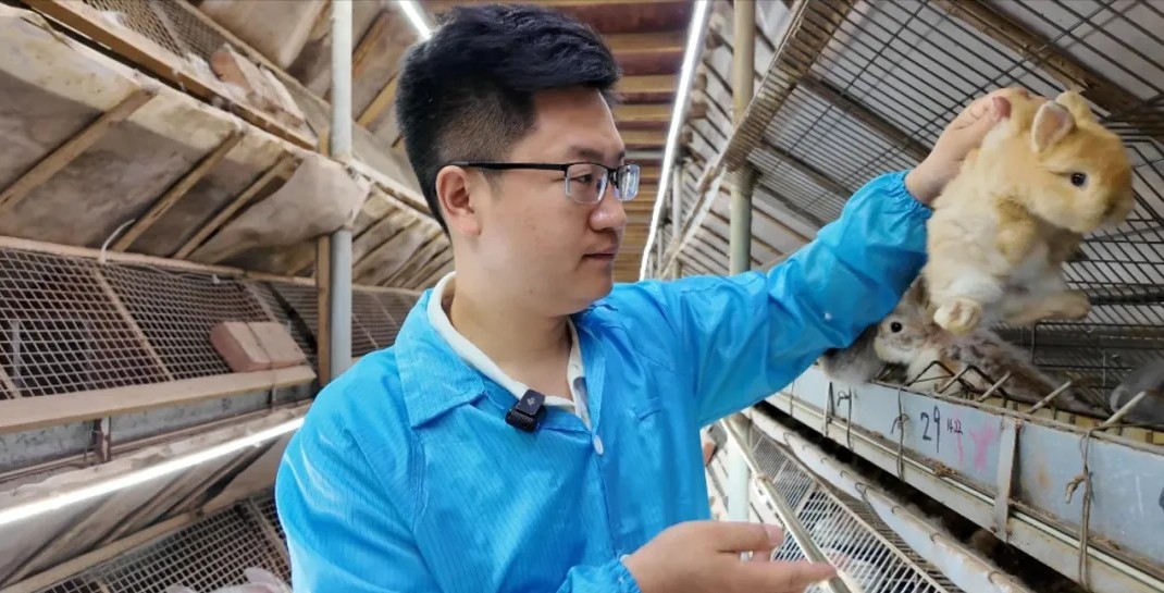 閩侯有個“兔王國”,，數(shù)量多品種全，每只都可愛,！