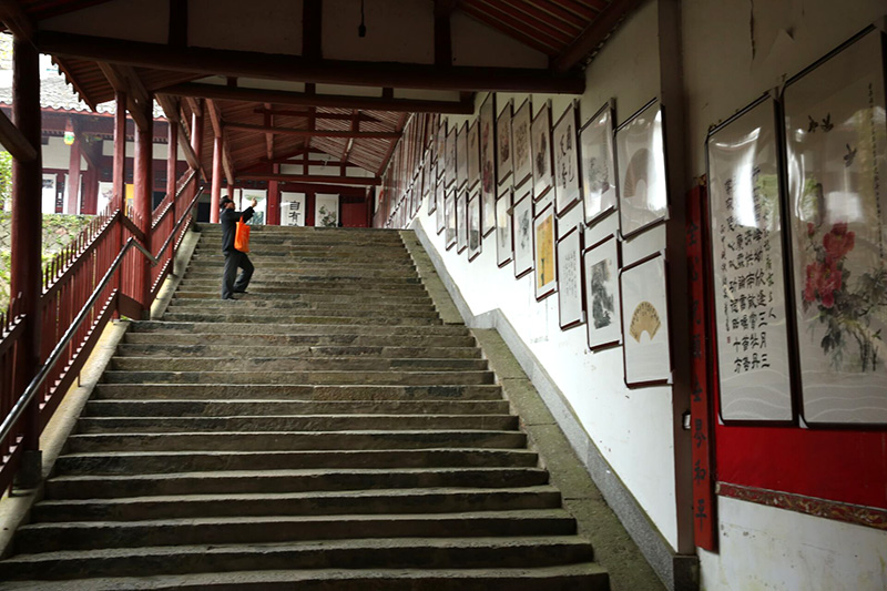 6.▲（往屆書畫展?張敏攝）.jpg